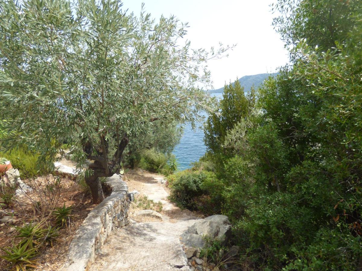 דירות Agios Petros  Odyssia Near The Seaside מראה חיצוני תמונה