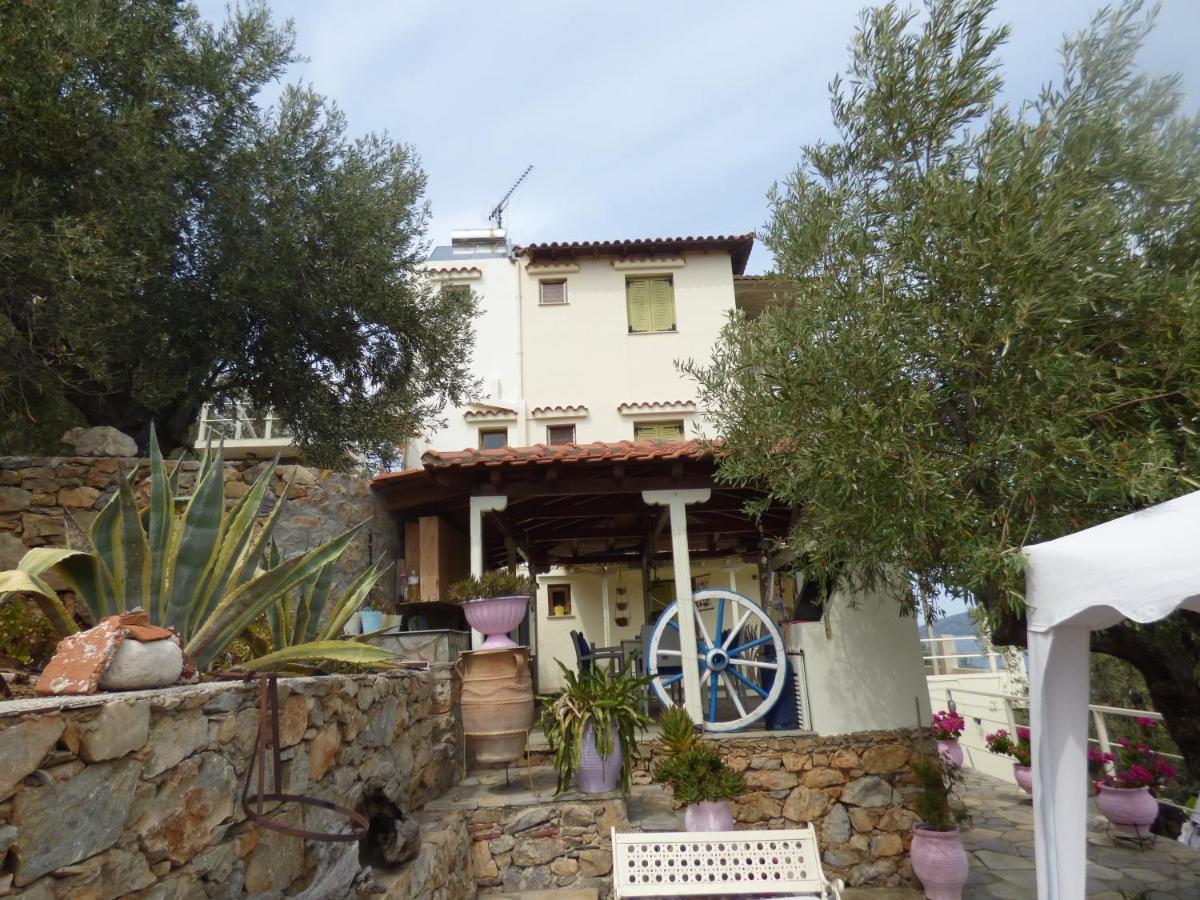 דירות Agios Petros  Odyssia Near The Seaside מראה חיצוני תמונה