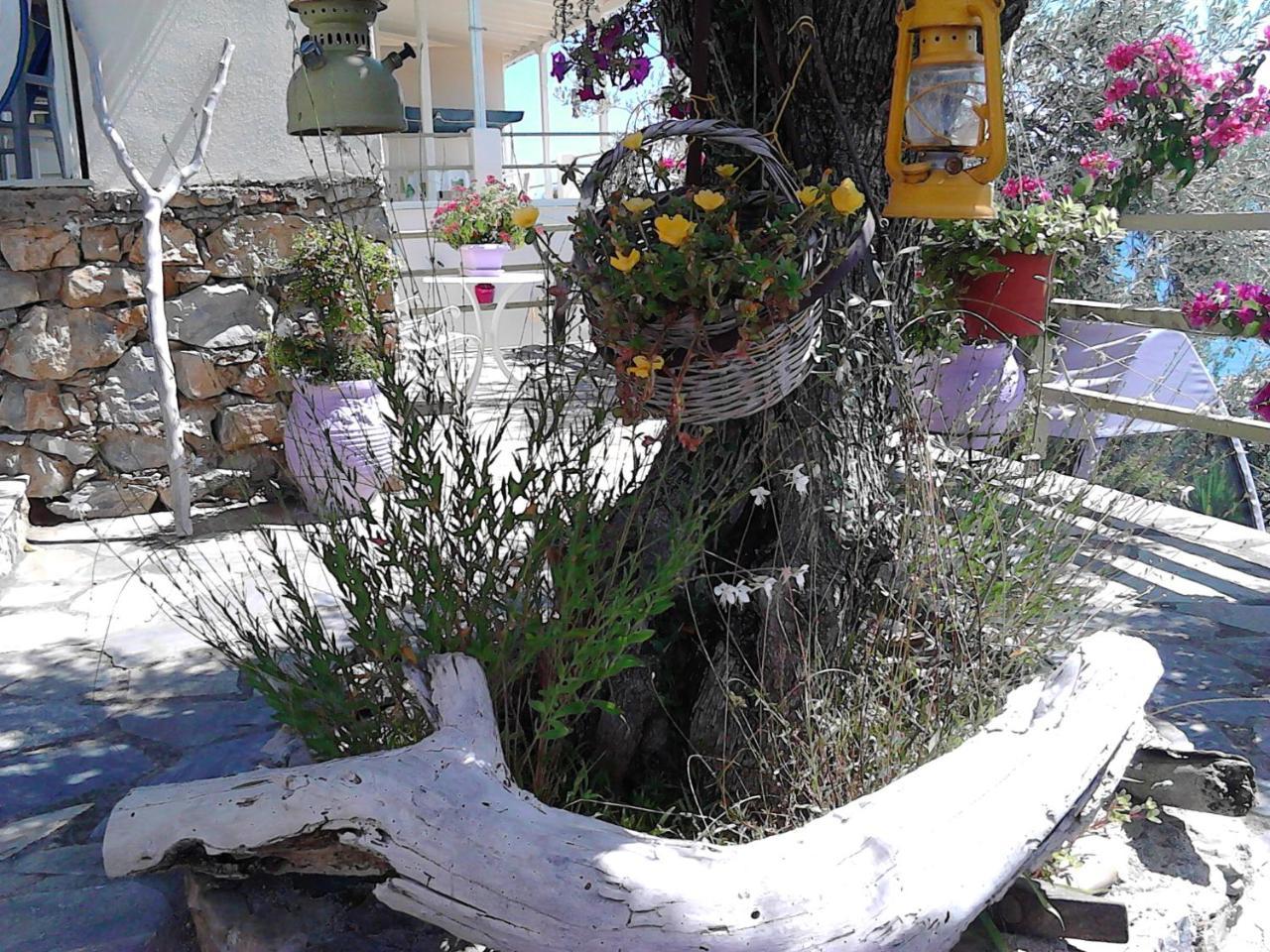 דירות Agios Petros  Odyssia Near The Seaside מראה חיצוני תמונה