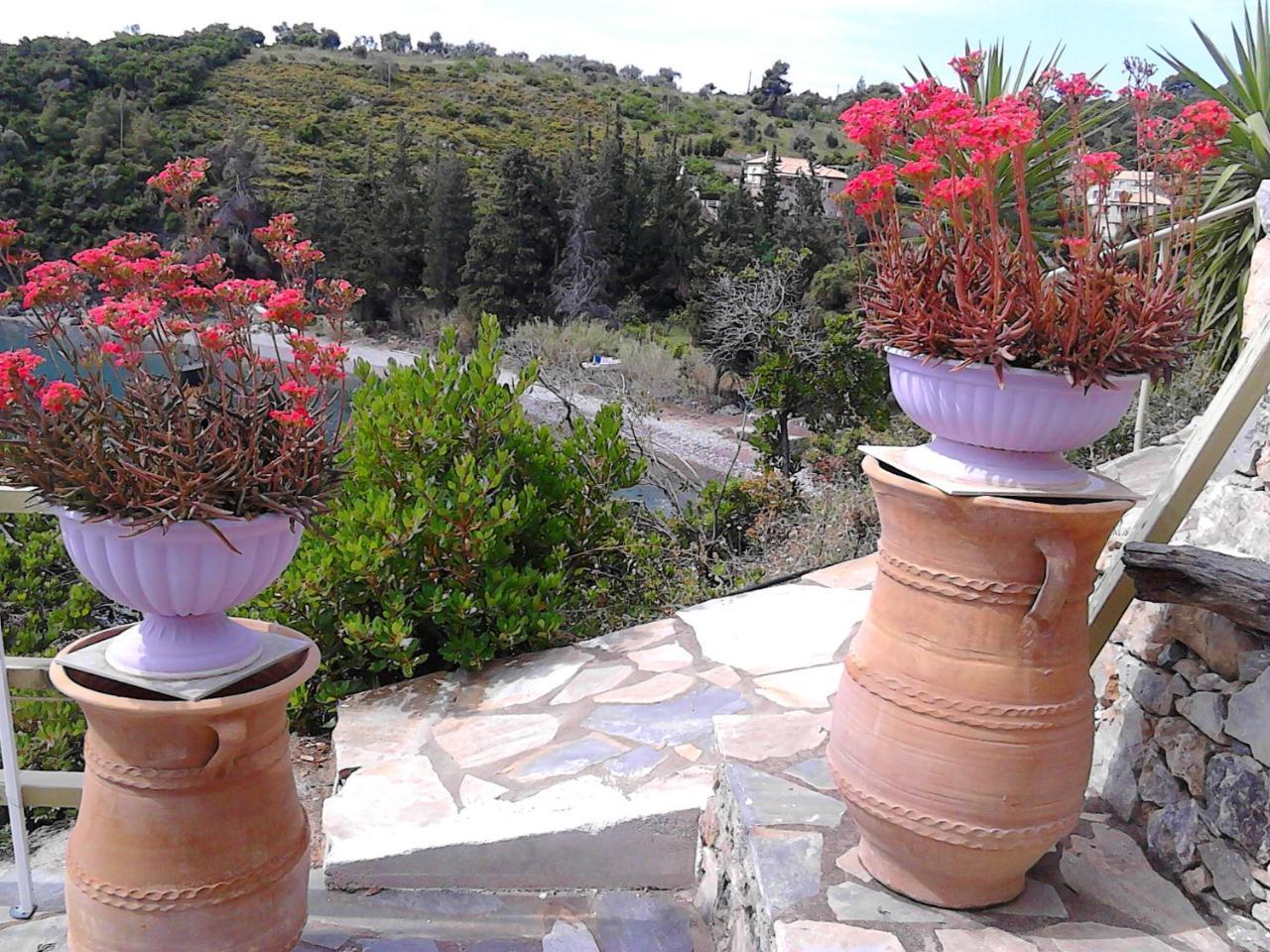 דירות Agios Petros  Odyssia Near The Seaside מראה חיצוני תמונה